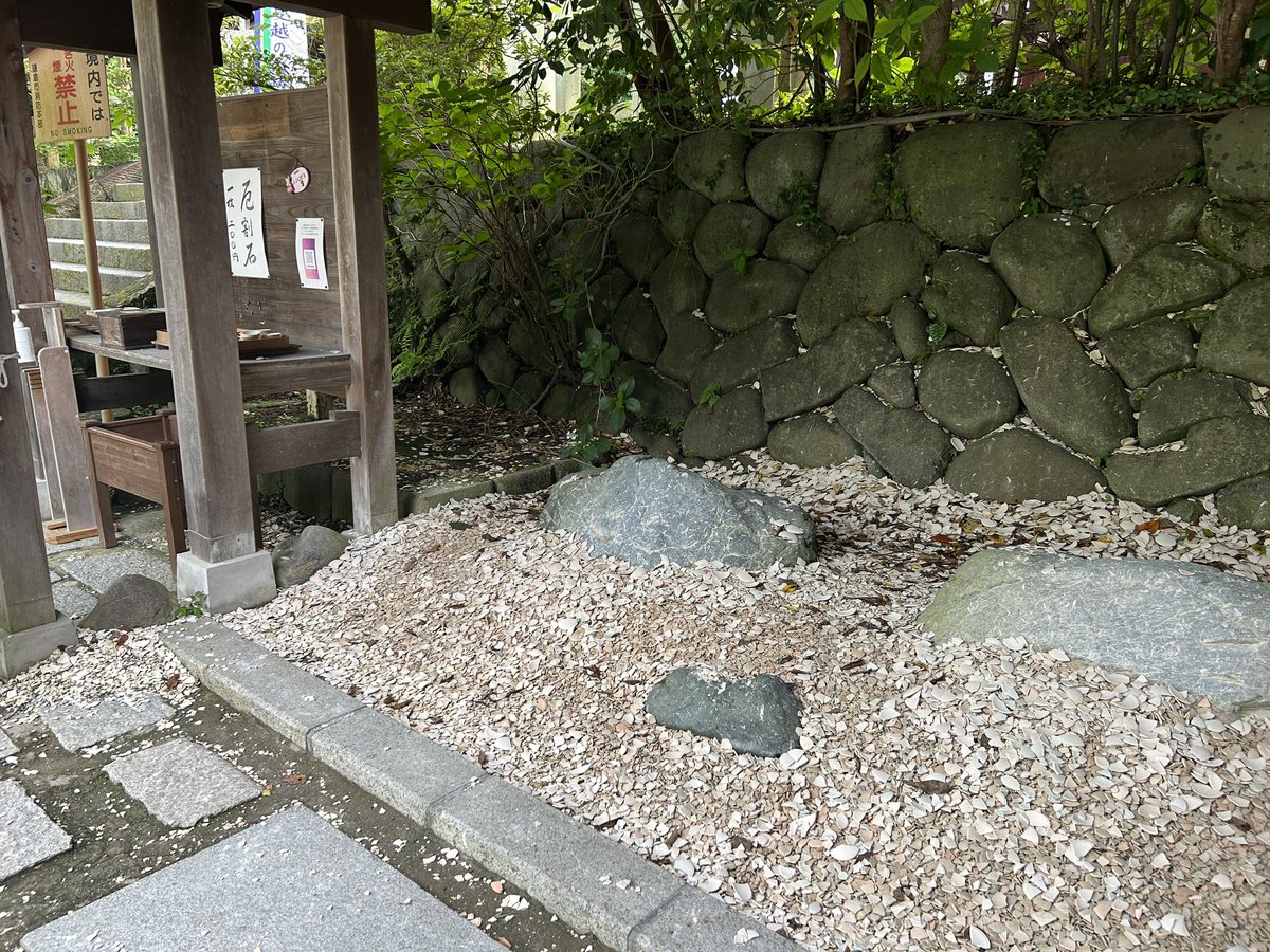 GreenEy00104783's tweet photo. 早起きをして、鎌倉散歩。
八幡様の蓮の花は、まだ蕾でした。
鎌倉宮まで足をのばし、厄割石で、お皿がいつになく木っ端微塵に割れて、よい厄落しができました。
ずずちゃんが何回もやりたがる気持ちわかります、ちゃんと割れると爽快ですから。 https://t.co/hAmHknxKQX