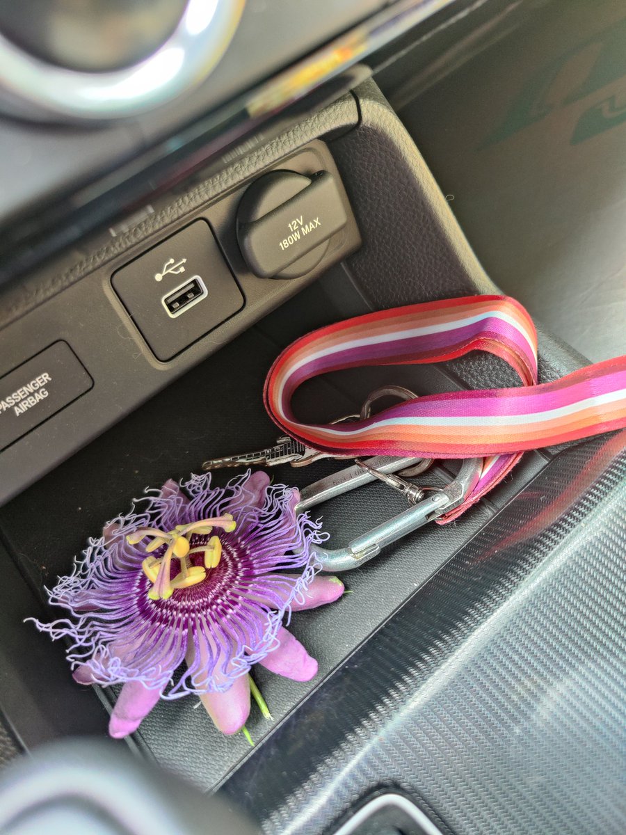 flora of the dmv 🌱⭐ tweet media