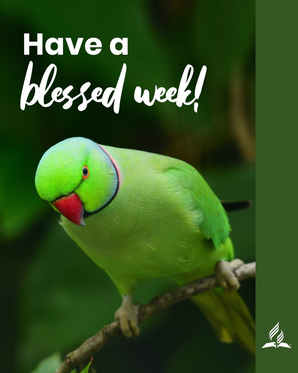 God intends to bless His children as they worship Him every Sabbath. Then, we can be His channel of blessings to others throughout the week.  #blessedweek #happyweek