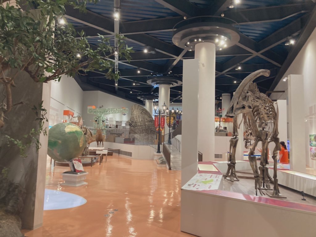 長崎市科学館7/15「鏡の魔法展」 on Twitter 