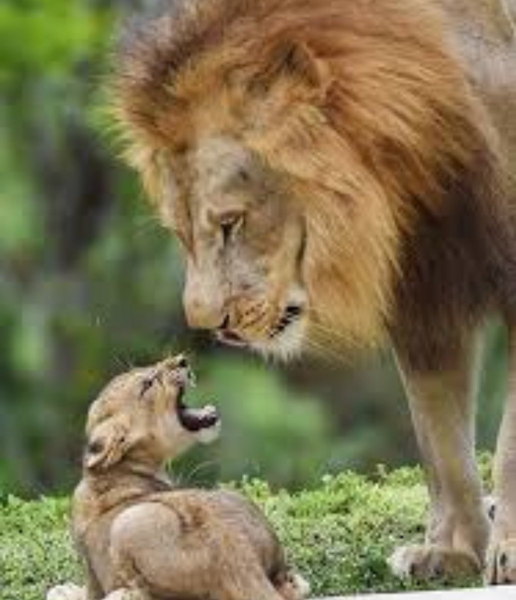 AgathaChocolats's tweet photo. In six words or fewer, write a story about this photo.
#sixwordstory #WritingCommmunity https://t.co/Sc6yxz15Bb