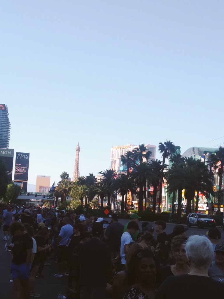 The Las Vegas Strip is ready to party. For the Golden Knights Stanley cup champions parade #lasvegasgoldenknights #StanleyCupChampions