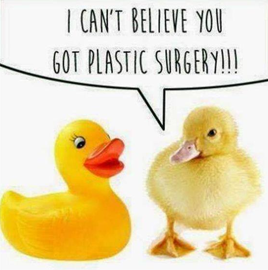 <a href="/elonmusk/">Elon Musk</a>