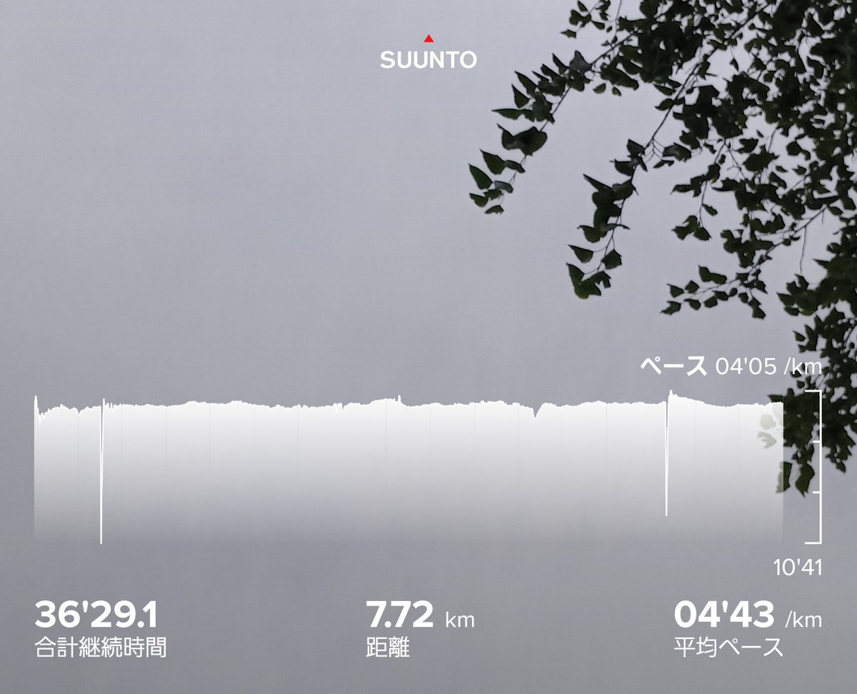 朝run☁️🏃‍♂️
お出掛け前に中途半端な空き時間。
迷って迷ってrunning～🎶
#suunto #ランニング app.suunto.com