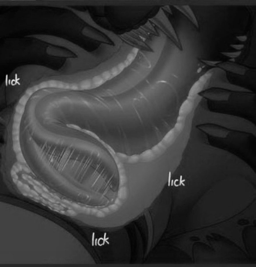 ᅠᅠᅠᅠ
ᅠᅠᅠᅠ
ᅠᅠᅠSi eres bueno/a te comeré ese culo
ᅠᅠᅠᅠᅠᅠQue tanto deseas~
ᅠᅠᅠᅠ
ᅠᅠᅠᅠ