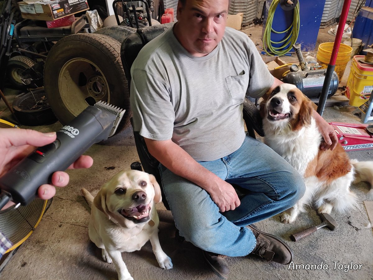 AmandaT1986's tweet image. How much moral support does one guy need for a haircut??? #misadventureswithamanda #shoptime #mollyandextradog #haircut #andisclippers