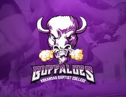 #AGTG After a great conversation with @coachbailey_abc I’m blessed to receive my first offer from Arkansas Baptist! #Buffup  @abc_football @ParkviewLr  #webuzzn