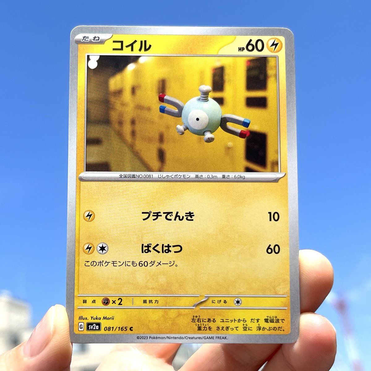 My new Pokémon cards 