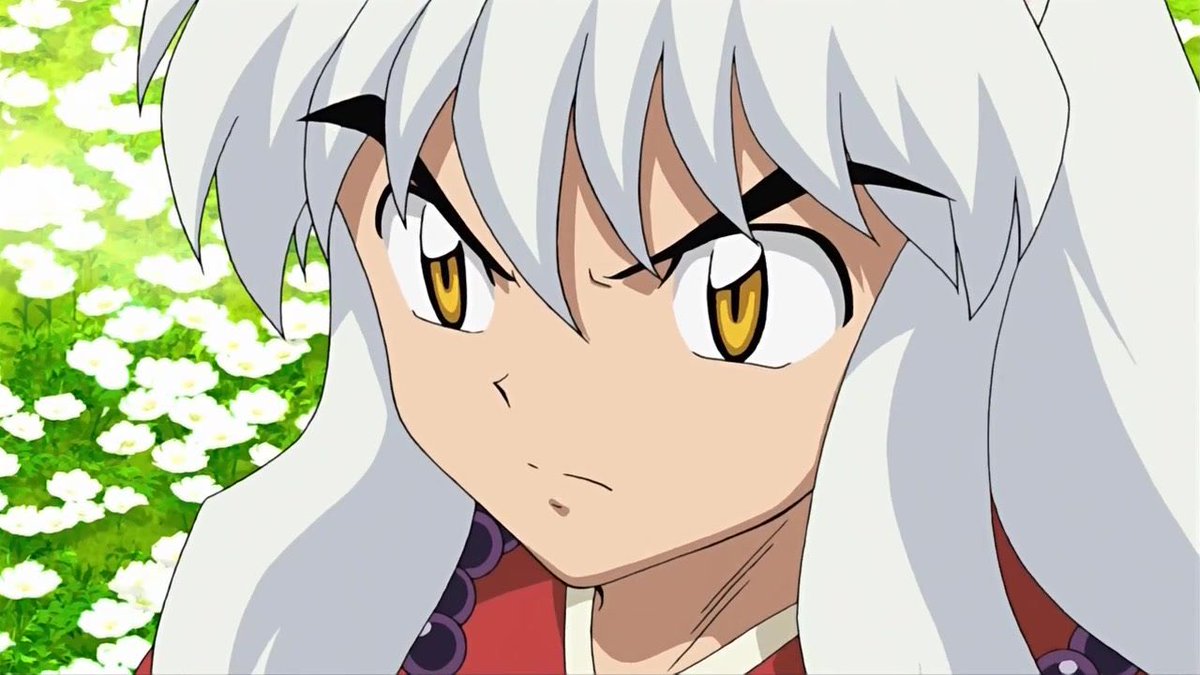 The amount of time I've dedicated to talking about inuyasha's eyes on my fanfics though...