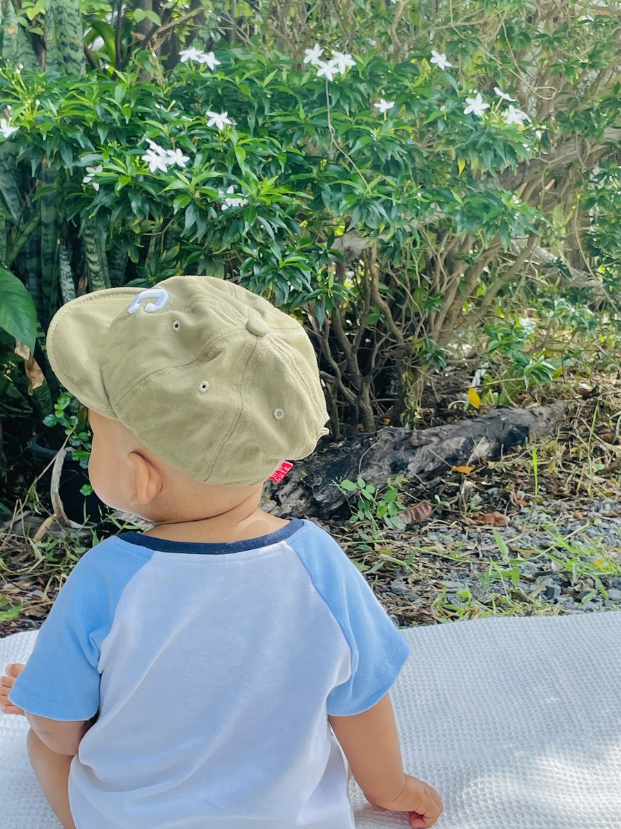 ต้นไม้ของเตนล์ 🌱 tweet media