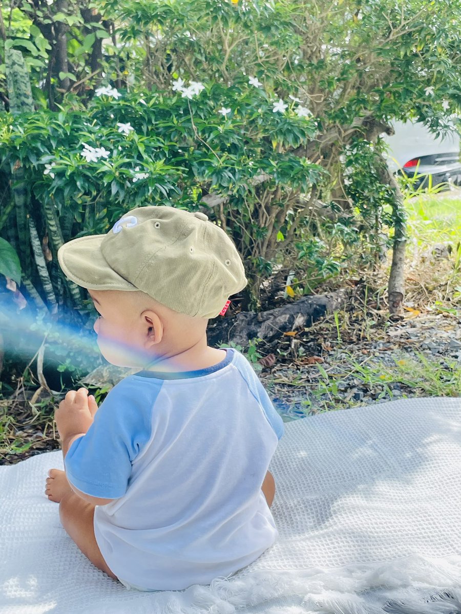 ต้นไม้ของเตนล์ 🌱 tweet media