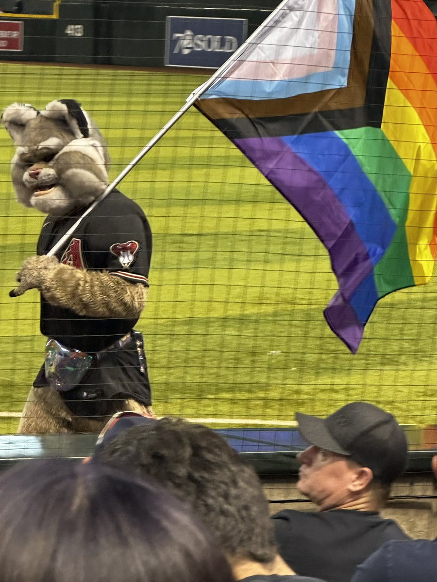 #arizonadiamondbacks
#pridenight