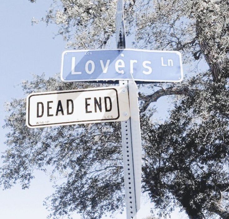 ɴɪɢʜᴛꜱꜱ ִֶָ࣪☾. tweet media