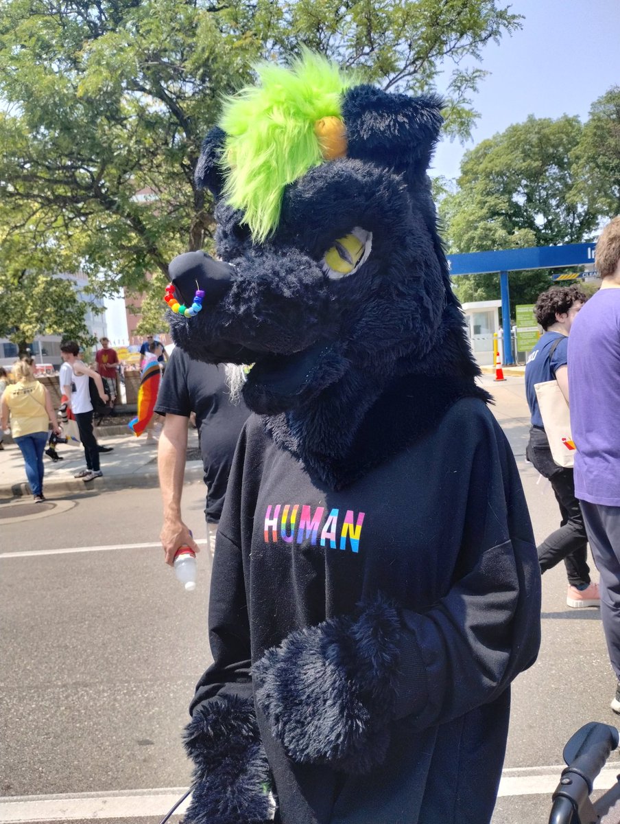 StarryHuskyWolf's tweet photo. https://t.co/HrfkDGS1C4
