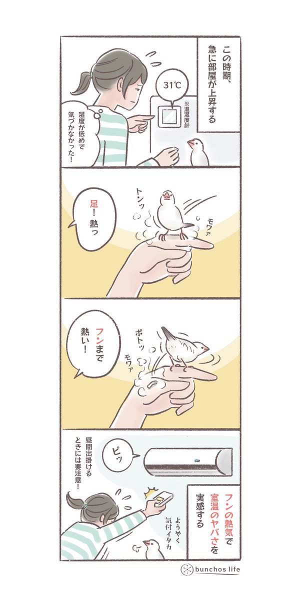 フンの熱気で室温のヤバさを実感する
#文鳥 
#4コマ漫画 

*過去作ダウンロードできます!(固定ツイート参照) 