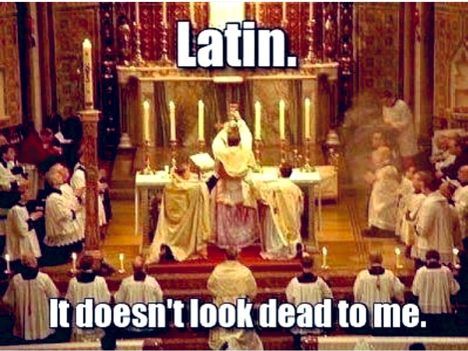 HolyTrinity1970's tweet photo. 🙏👍That’s right. I’m seeing more &amp; more people come to the TLM chapel I go to, including a lot of the younger generations of Catholics. They want Tradition &amp; not modernism. 
#TraditionalLatinMass #TradCat #SayNoToTheBogusOrdo #EmbraceTradition #RejectModernism #CatholicTwitter https://t.co/6gQcQzHMSs