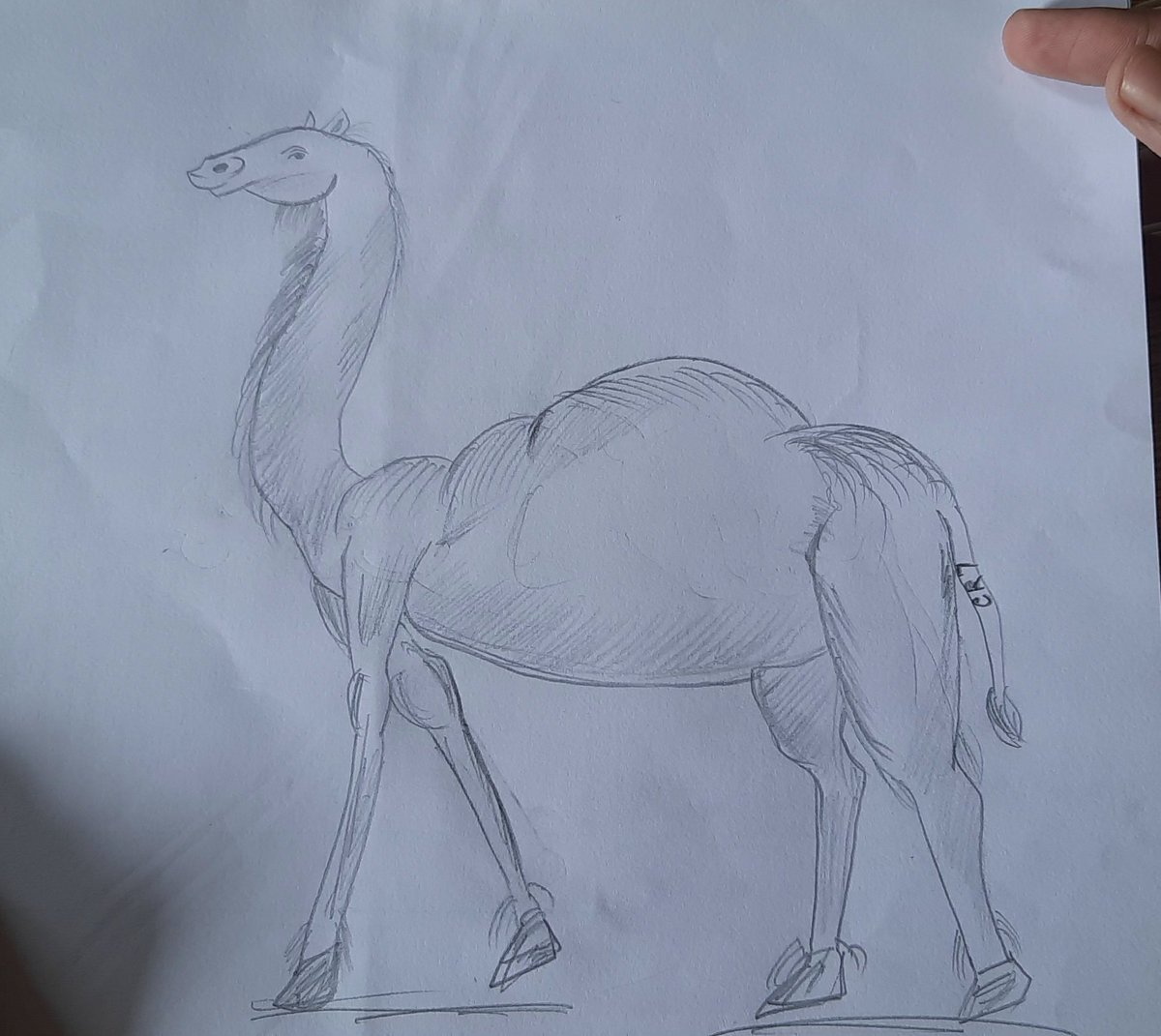 ShreyasPSG's tweet image. Drawing of cr7 by my beloved brother #Ronaldo #Portugal #pendu