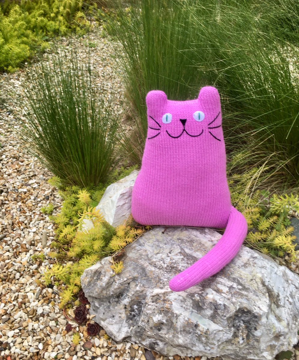 3WoollyOwls's tweet photo. Gorgeous pink cat looking for a new home! #cat #catsoftwitter #UKGiftHour #UKGiftAM #shopindie #giftideas https://t.co/Ut434eCFDU