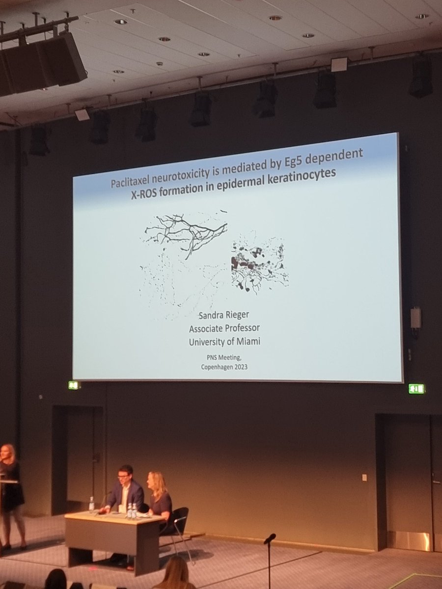 Fantastic talk by Dr Rieger at #pns2023 on modelling therapeutics for paclitaxel induced neuropathy
<a href="/PNSociety1/">Peripheral Nerve Society (PNS)</a>