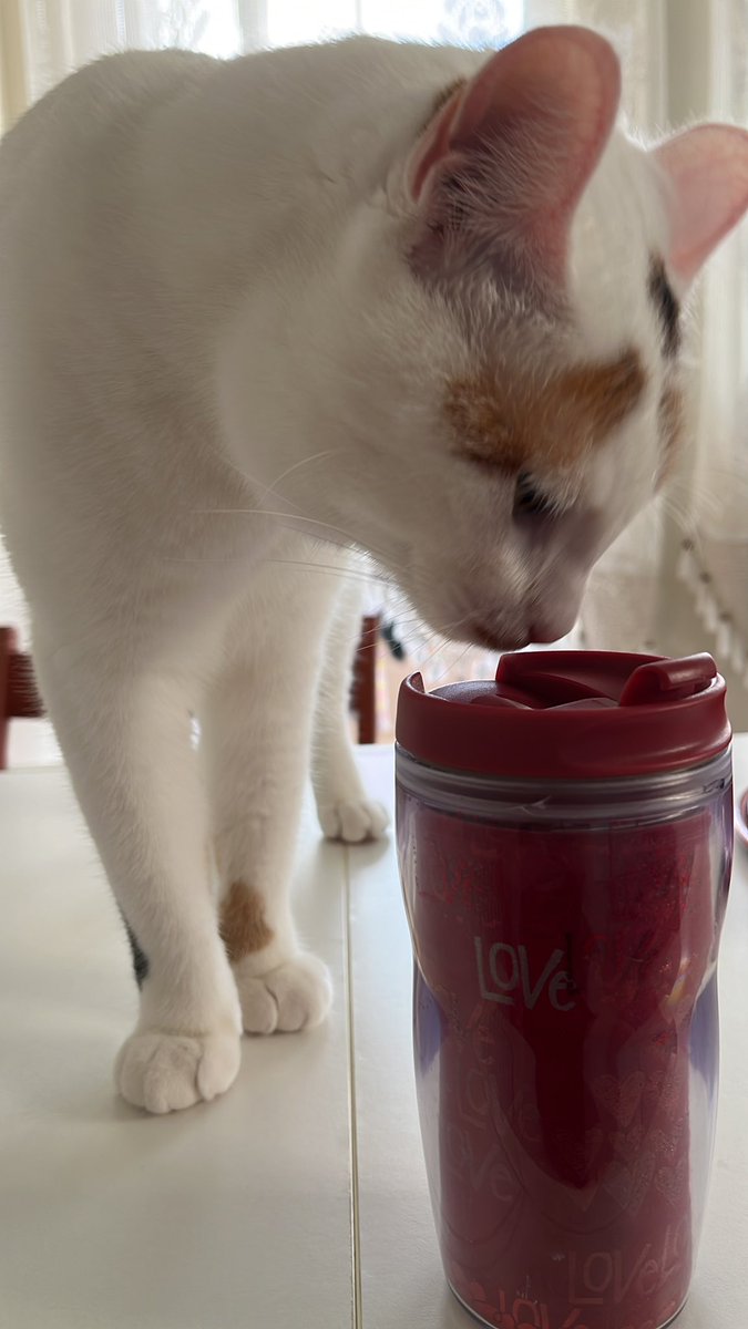 nolmus bakim kirilmis mi bu icine ne koymustun yenir mi