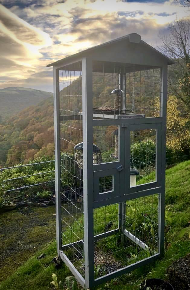 HighcliffExmoor's tweet photo. ✅ At Highcliffe House we leave out fresh water and food to help our natural wildlife 🦉🦤 🐿️ 🦊 🐇

❇️ In the hot weather, many water sources that birds, insects and animals rely on can dry up 🦋🦔 🐝 🐞

✳️ Read The Wildlife Trusts advice to help 
https://t.co/lHLc36Rj4T https://t.co/ydG1SOvX9U