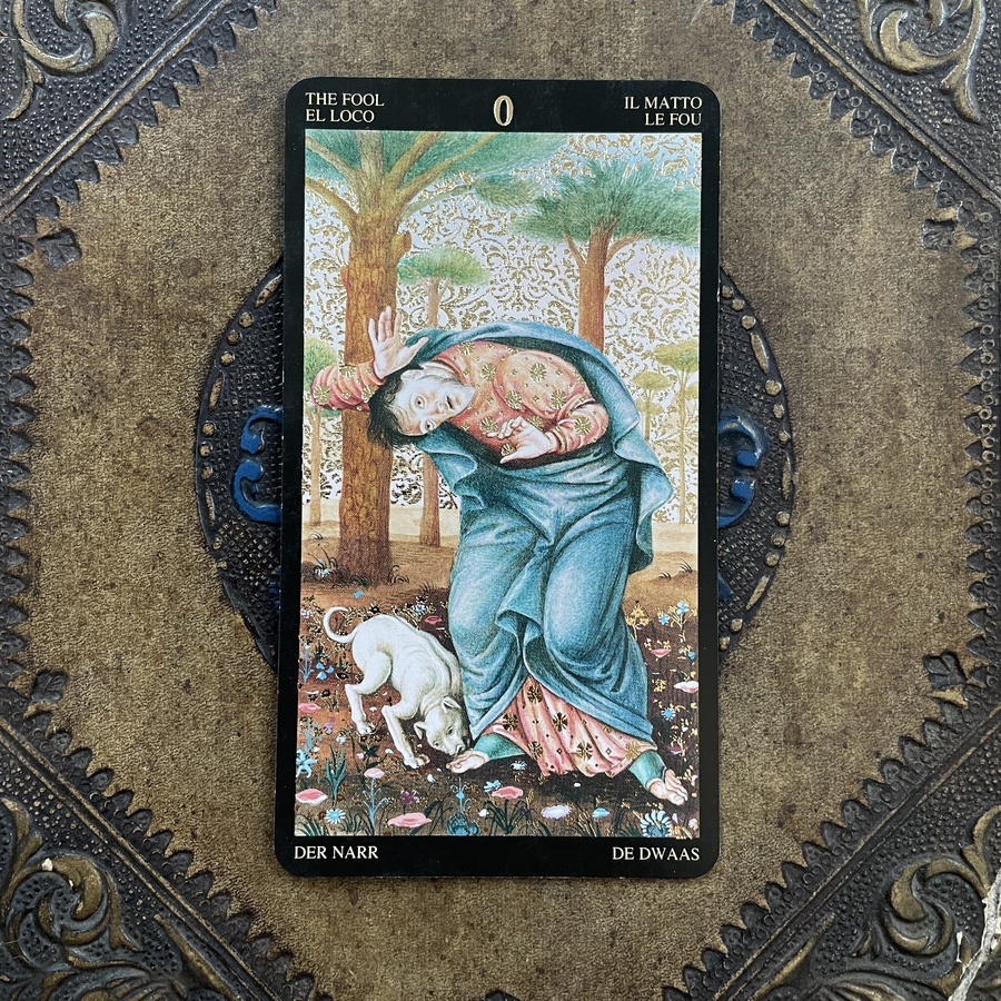 @aestheticwabi The Fool reminds us to embrace the unknown and take risks. Sometimes the greatest rewards come from stepping outside of our comfort zones. #tarotwisdom