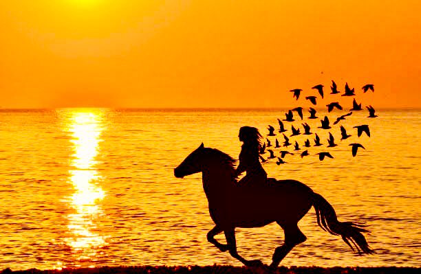 Fy41SKmWAAAEst2?format=jpg&name=small