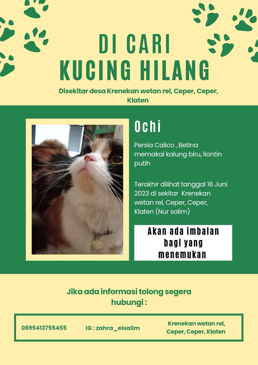 Please bantuin 🙏🏻#kucinghilang
