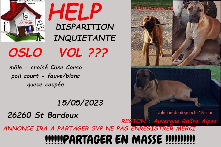 Kate23170's tweet image. merci de RT pour nous aider a retrouver OSLO disparu a Saint Bardoux 26260 le 15/05/2023 svp si infos : CONTACT FB : facebook.com/severine.robin… ou MP à @Kate23170