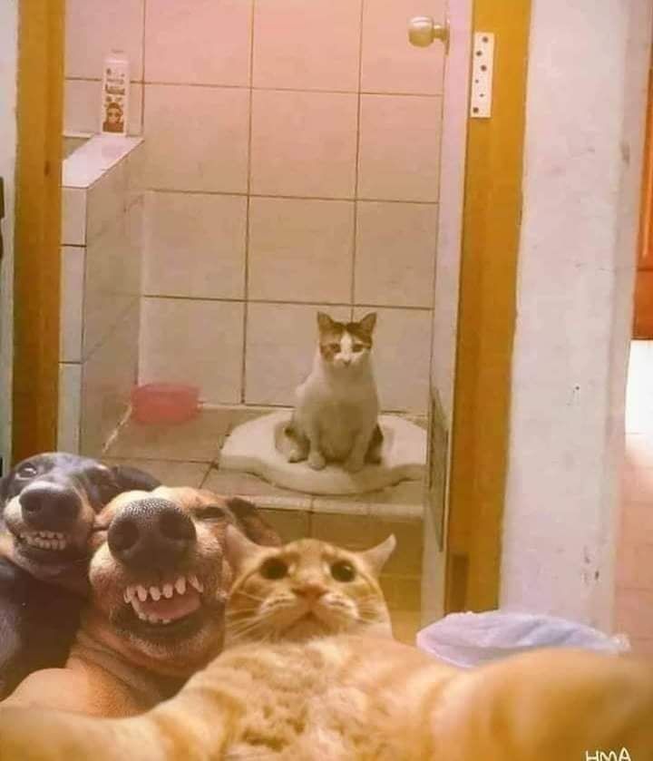 - En esta casa ya no se puede ni cagar tranquilo...