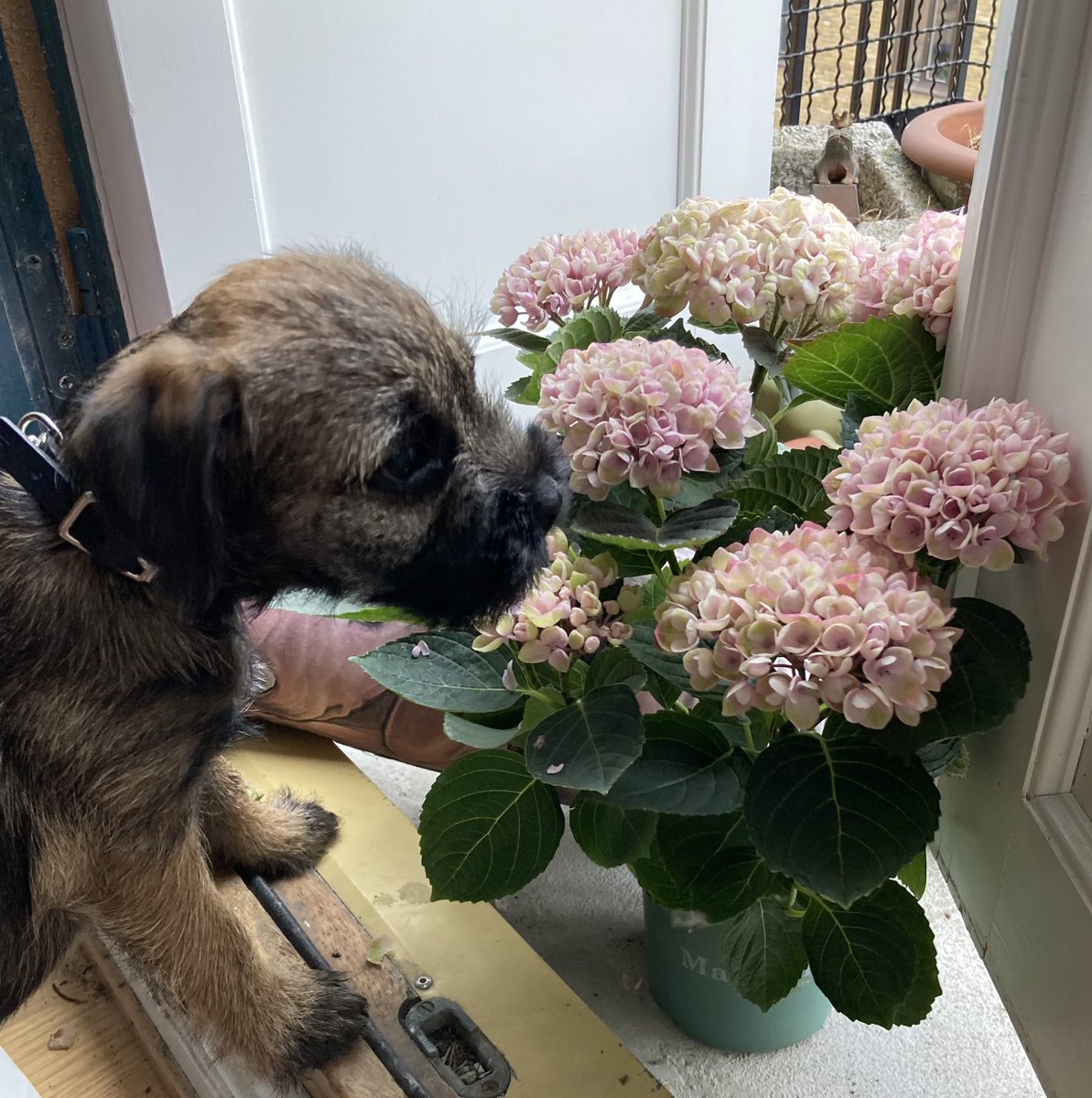 Agnes Wold tweet media