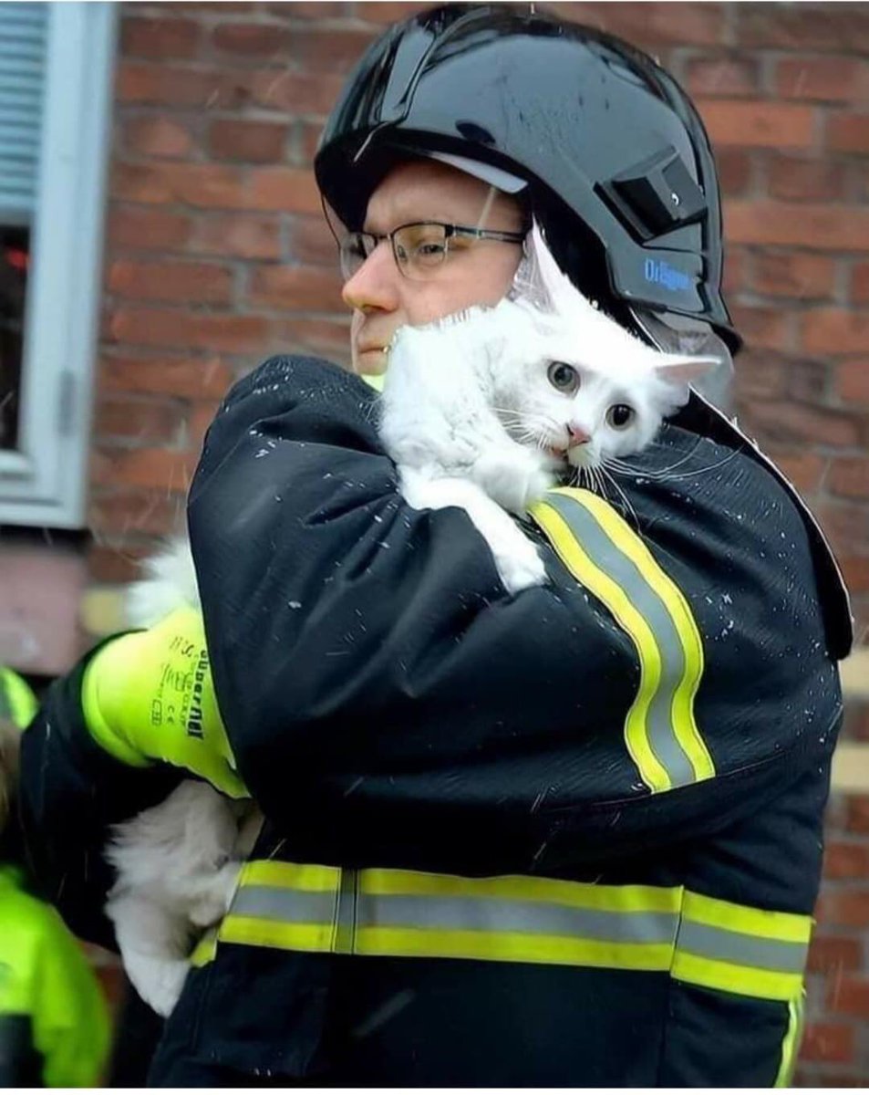 He looks frightened yet cute!!