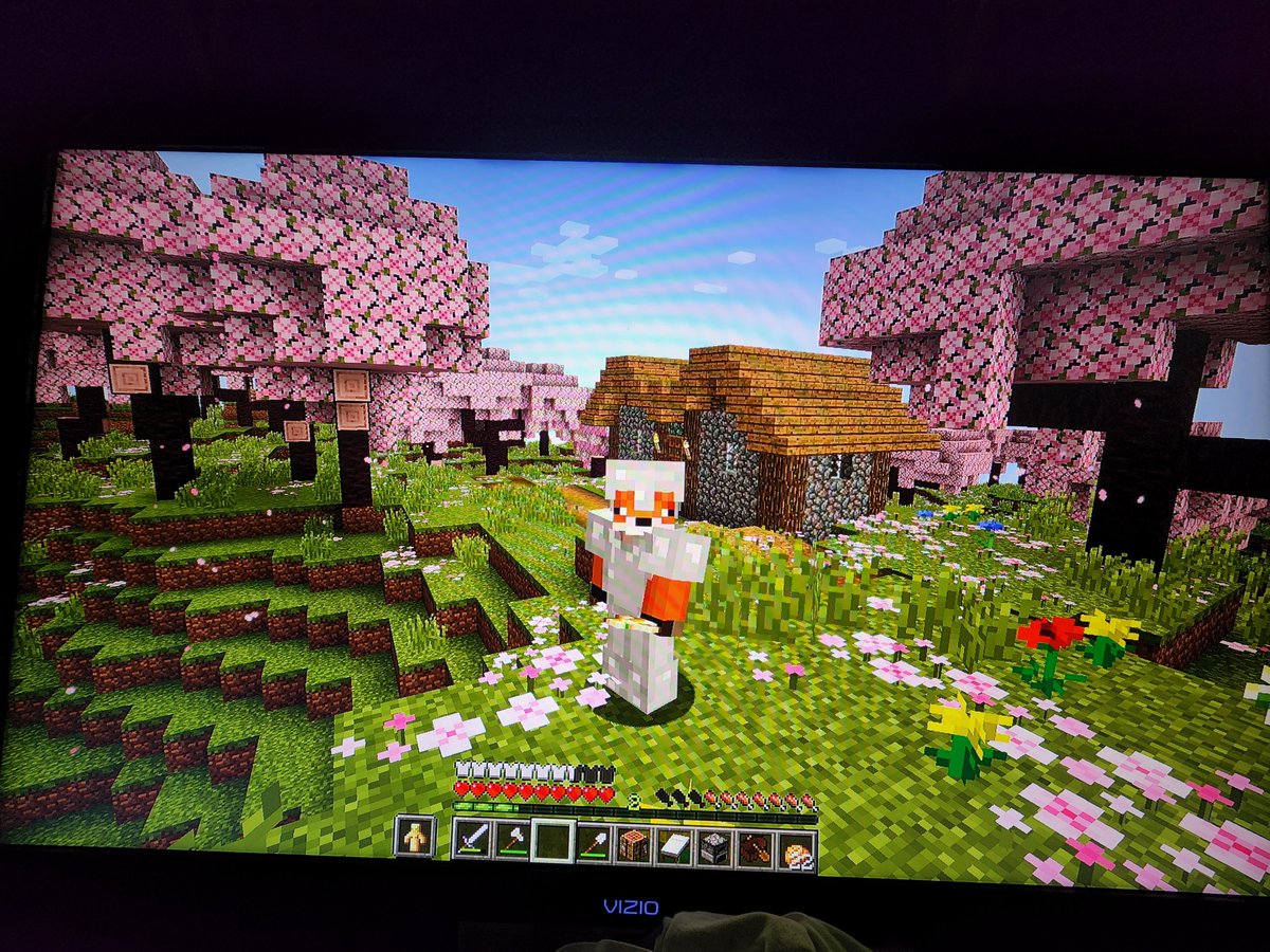I found the Cherry Grove Village 😄🤩 #Minecraft #TrailsAndTales update