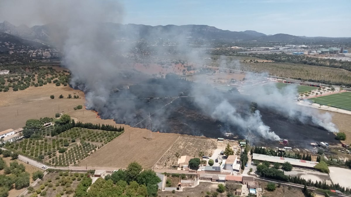 Foravila_IB's tweet photo. IBANAT i els Bombers de Palma apaguen un incendi agrícola al costat de Son Bibiloni
https://t.co/SW7gB6NwfK
#IBANAT https://t.co/ixP8RTdLBm