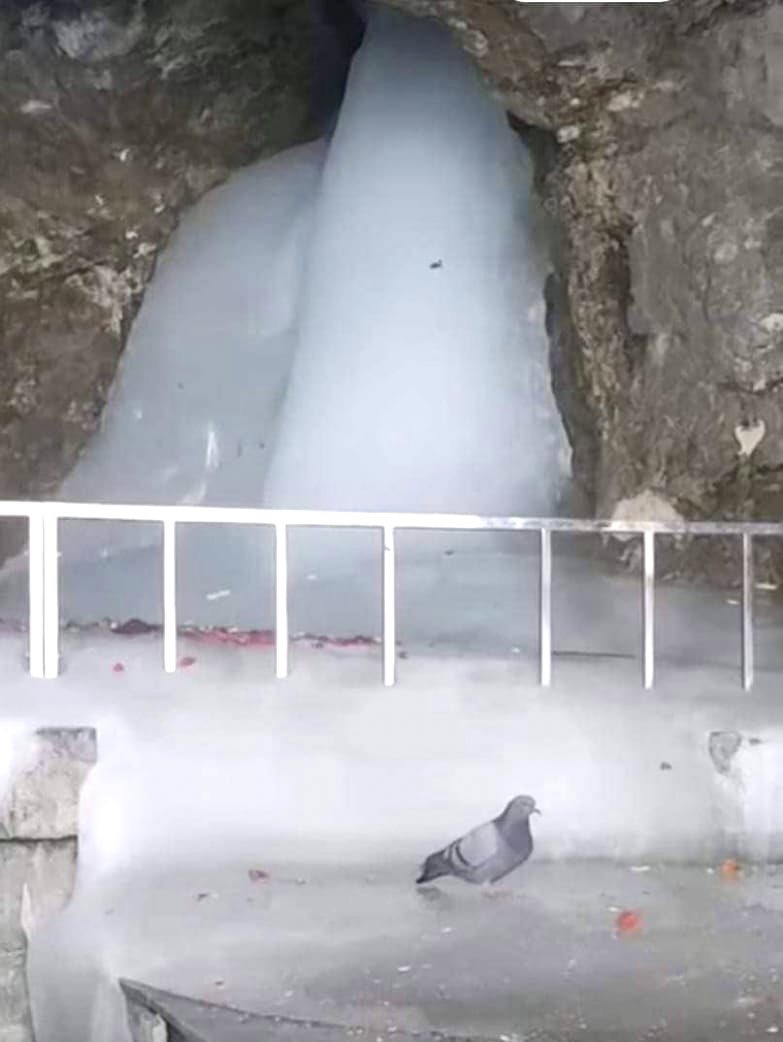 श्री अमरनाथ जी के आज के दिव्य दर्शन