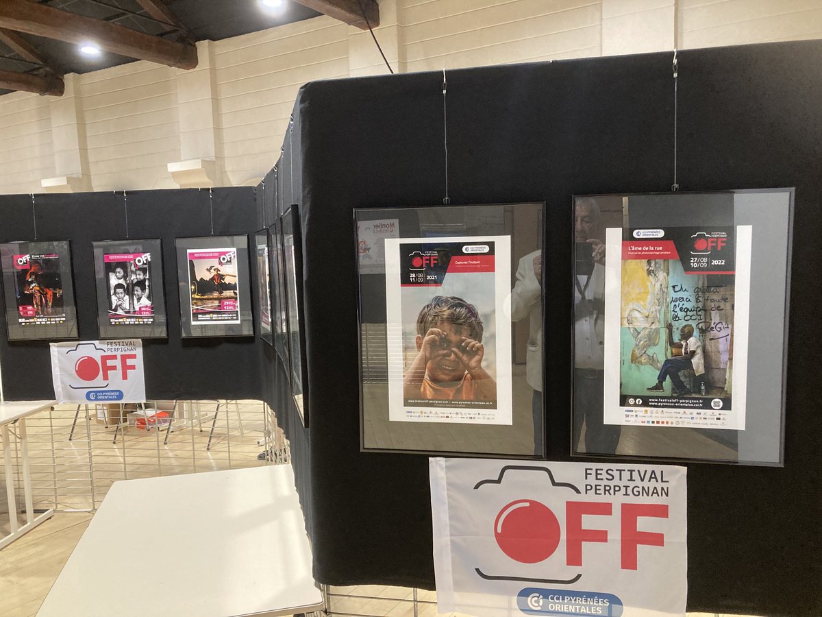 Robert Ferre tweet media