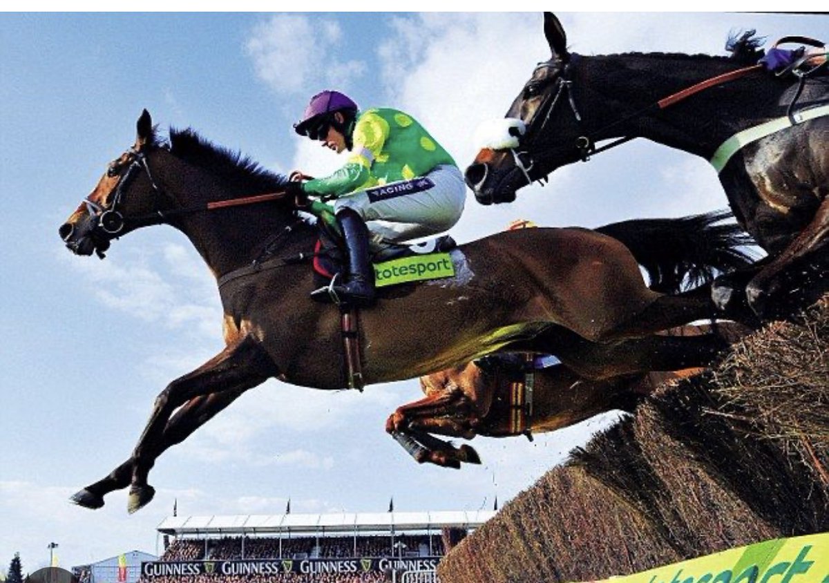 Kauto Star Legend tweet media