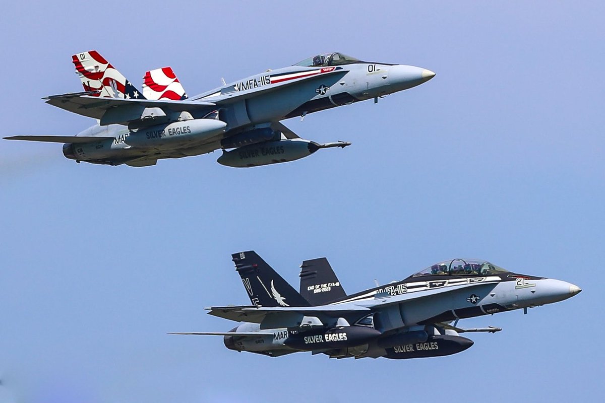 🇺🇸VMFA-115 'Silver Eagles'🦅
F/A-18C VE01
F/A-18D VE21
幸せです(*˘︶˘*).｡.:*♡
#厚木基地 2023.6.17 
#RJTA