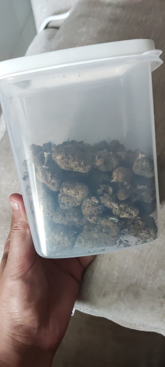 TribesVi's tweet photo. 泰国芭提雅   贩卖人间快乐 （thc很顶）
需要的朋友联系我    正儿八经的好东西 https://t.co/pVw4CHxpax
