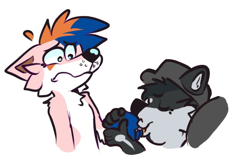 Finn @Yosemite tweet media