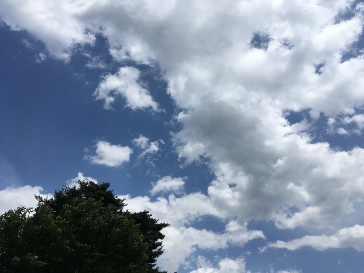 surf1303's tweet image. #イマソラ
戦車体験搭乗待ち
#岩手駐屯地 
#74式