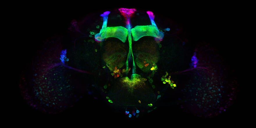 Hannah Hawley tweet media