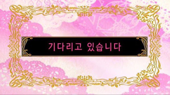 🦤Dodo 도도 (@dodo_visdomljus) on Twitter photo 