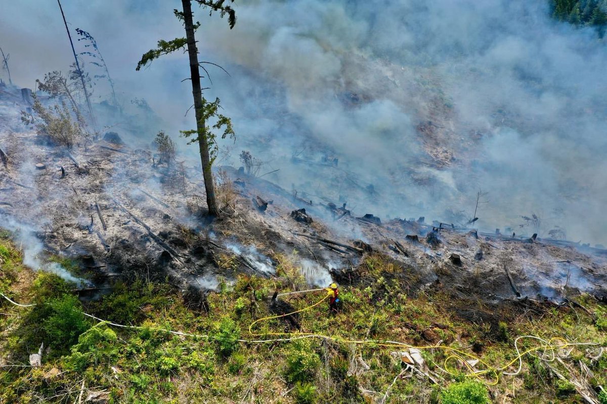 Wildland fire near Joyce access road and Hwy. 101 Saturday afternoon. The fire, now called the Sutherland fire, has grown to 50 acres. #portangeles #wildlandfire @KIRO7Seattle