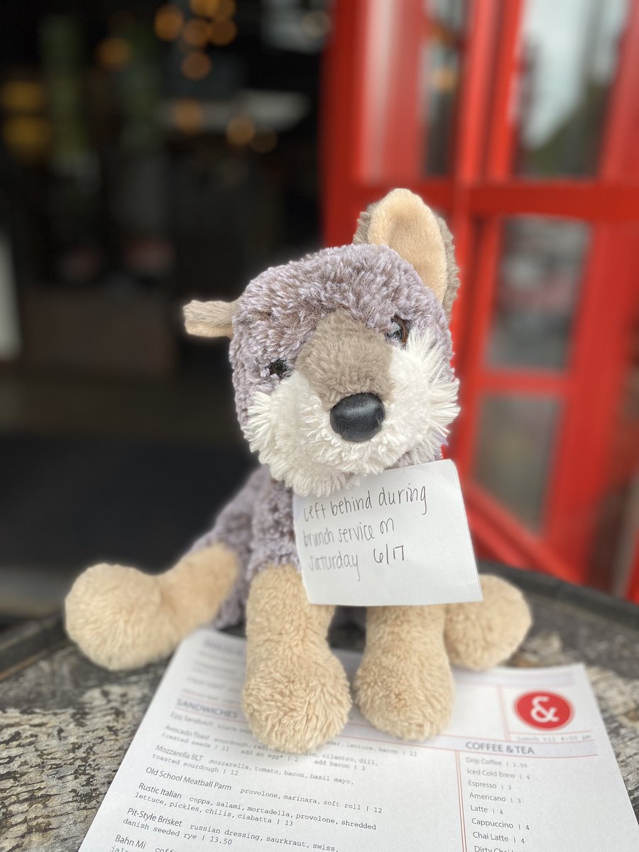 Greg_D_Henning's tweet image. Some kid whose family went to @steelandrye in #MiltonMA today for brunch is absolutely MELTING DOWN right now. 

See if you can help reunite child and stuffed thing and save the family.