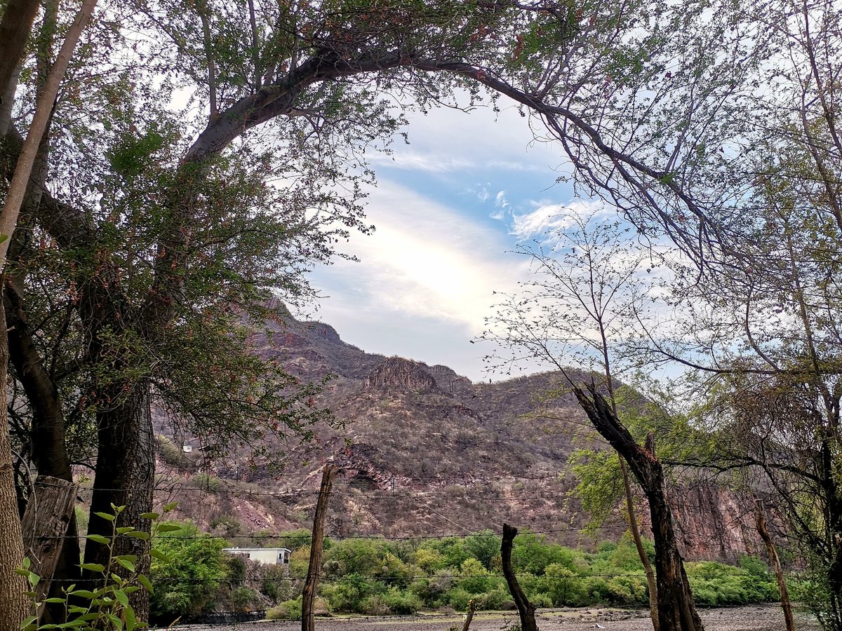 martikarinaz's tweet photo. Que bonito es #sonora
#elnovillo #tambienessonora #eurekaelnovillo https://t.co/rJ4BrK2puq