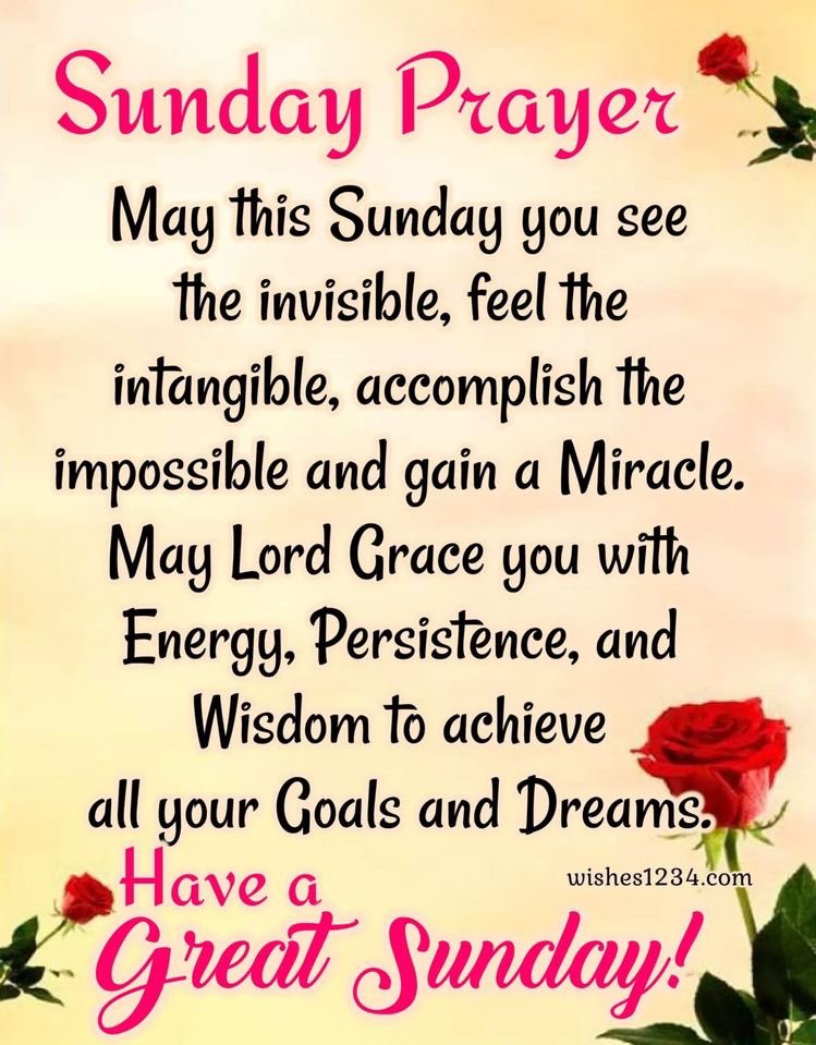 #SundayBlessings #TwitterFriends 

💚Have A Glorious Sunday!