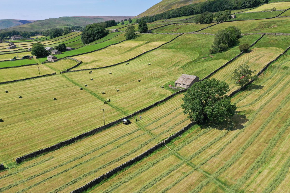 yorkshire_dales's tweet photo. Hay meadows are an iconic feature of the #YorkshireDales. They are of great agricultural importance - providing feed for livestock during the winter months - and have great ecological importance

Watch how Hill Top Farm cut, dry and bail their meadows 

👉 https://t.co/lssW9Ryh7Y https://t.co/U6HAh5hoBP