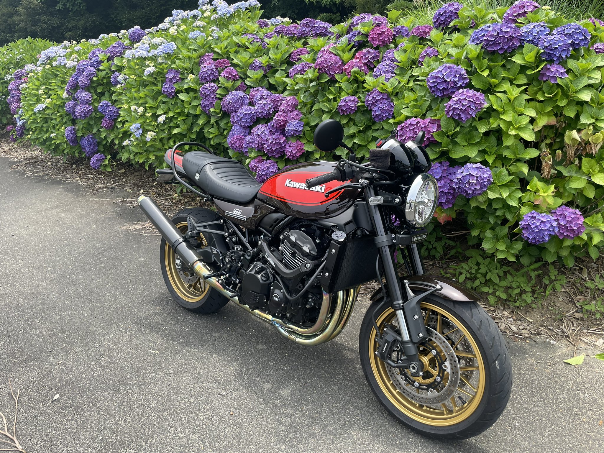 本物の ユッキー_さん_専_用 K-POP/アジア - boniberger-herrenmode.de