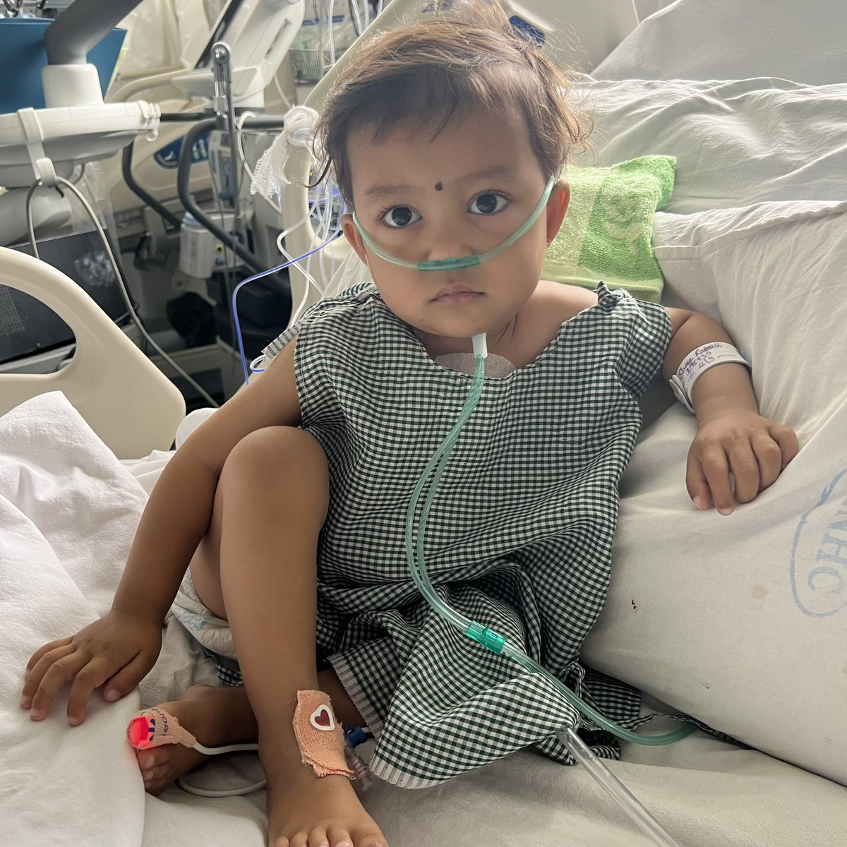 HealingLittleHearts tweet media